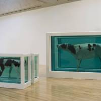 damienhirst